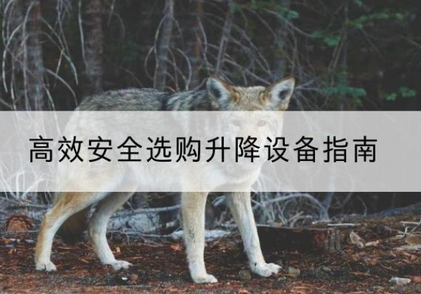 咸阳升降货梯厂家推荐-*安全选购升降设备指南