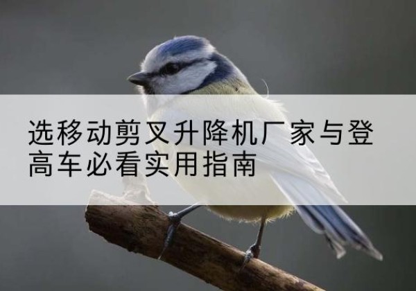 咸阳电动升降机厂家-选移动剪叉升降机厂家与登高车必看实用指南